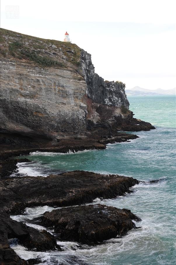 Taiaroa Head